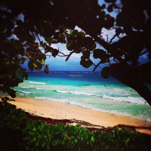 beach at Mezzanine in Tulum