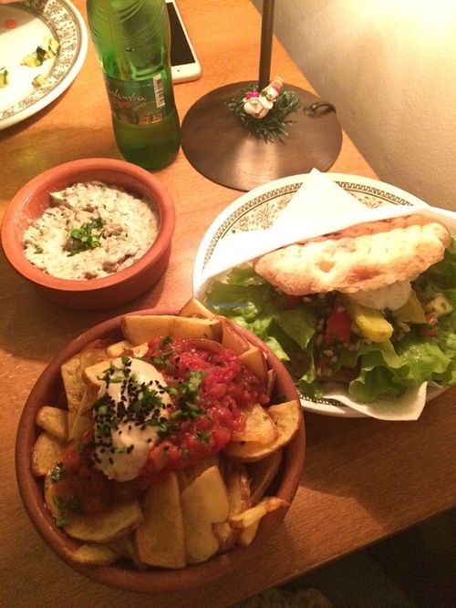 Patatas Bravas and Falafel in bread - delicious  at Babaghanoush in Pristina