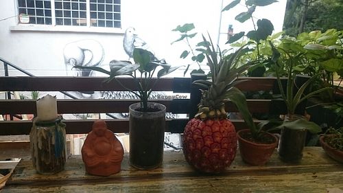 ananas deco  at Centeno Restaurante Vegetariano in Medellin