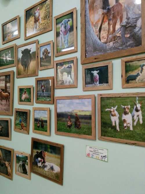 interior at Vegan Grocery Store in Fitzroy
