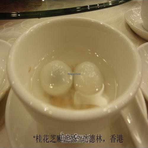 the dessert is very nice too!  at Kung Tak Lam - Tsim Tsa Tsui in Kowloon