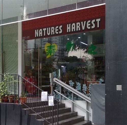 Outside at Nature's Harvest Cafe in Central Singapore