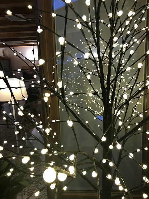 Lights  at Al Tiglio Cucina Naturale in Moruzzo