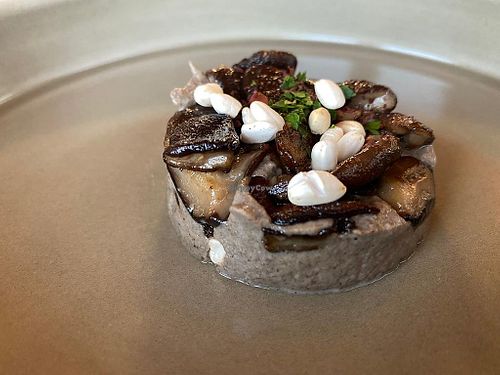 Mushrooms puree with mushrooms on top 🍄 at Al Tiglio Cucina Naturale in Moruzzo