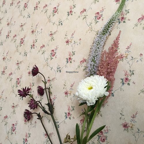 inside at Geh Veg in Berlin