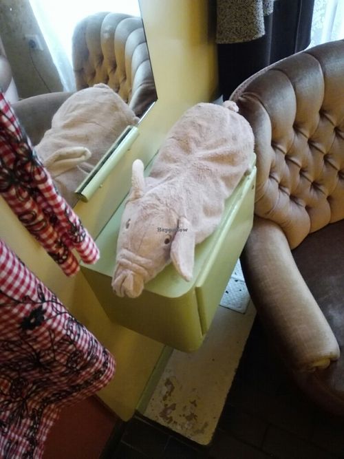 piggy at Geh Veg in Berlin