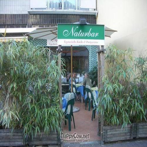 Natur - Bar (July 2008) at Naturbar in Frankfurt