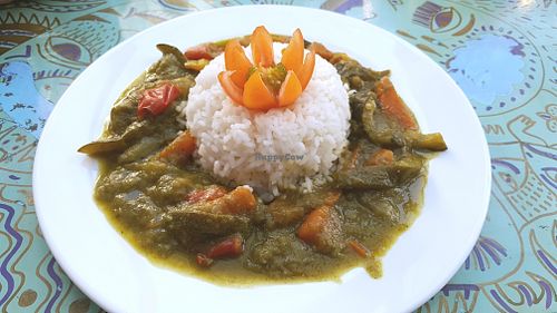 Green curry at Balti Drambliai Vegetarine Kavine in Vilnius