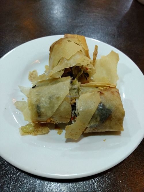 Spring roll at Xing Hua Vegetarian 兴化美食 - Fortune Centre in Central Singapore