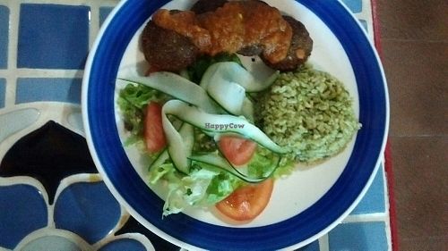 A meal of the day in October 2018. Falafel with tomato sauce, whole grain rice cooked with spinach, and a salad. at Casa Jharikanda in Barranquilla