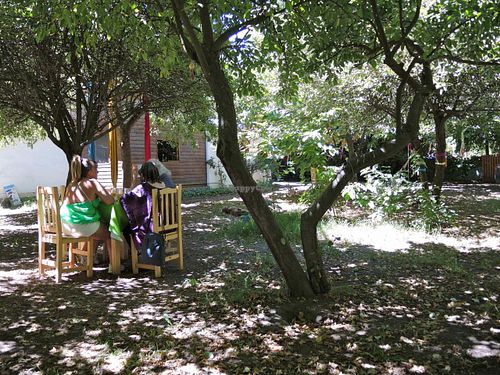 In the garden of Madre Vida  Rivadavia 1806 at Madre Vida in El Bolson