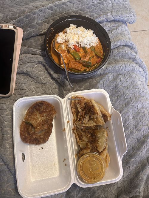 curry, flatbread, and dumplings i devoured.  at Thai Haven in Winter Haven