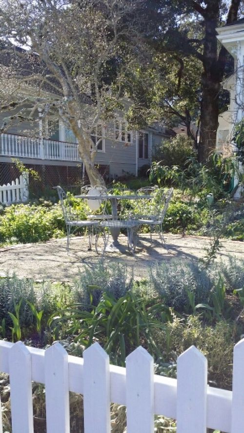 A peek into the Gorgeous Grounds at Muir's Tea Room in Sebastopol