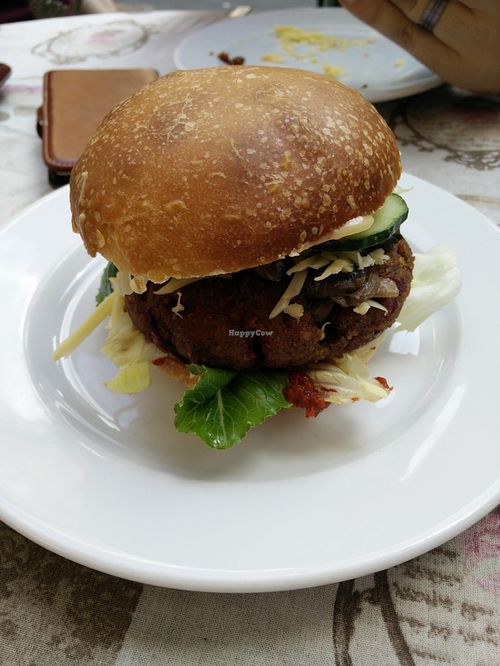 Burger at Edeni Vegan in Budapest