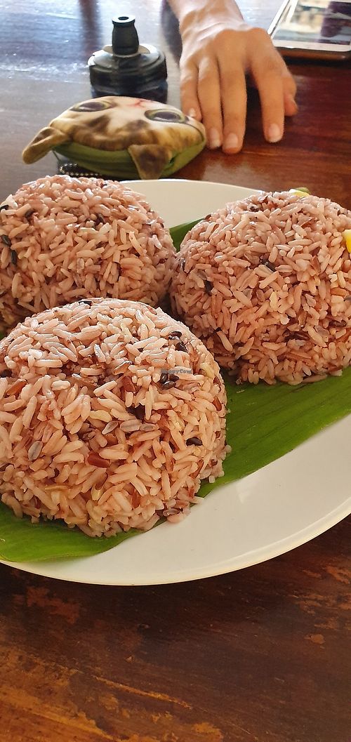 Rice at Soul Organics in Koh Phangan