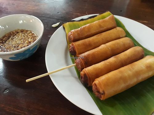 Spring rolls at Soul Organics in Koh Phangan