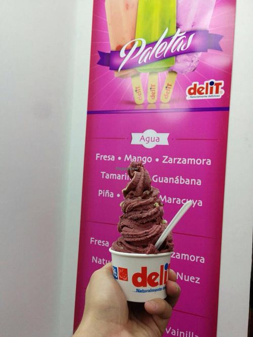 *vegan*
lemon base with blueberries and strawberries!

(vegans, remember to ask for the water base or the lemon water base instead of the yoghurt)
:)  at Delit in Merida