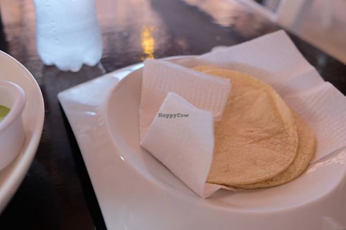 Tortillas at Lola Valentina in Isla Mujeres