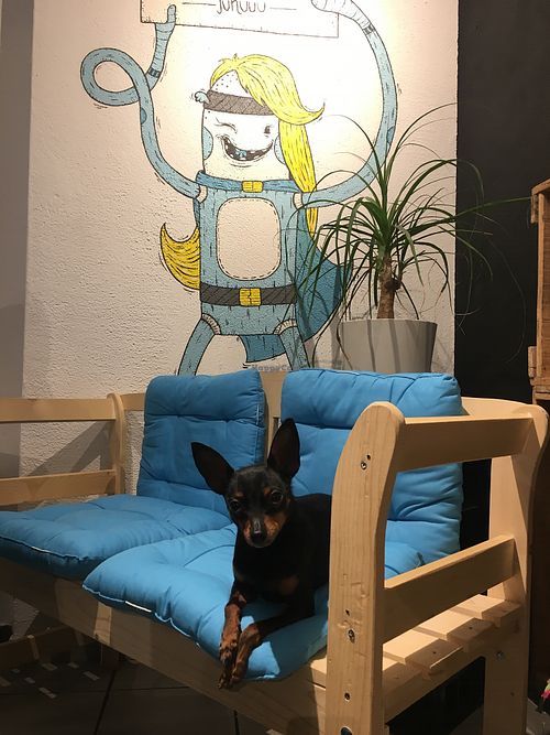 Pet friendly!!! Our favorite!! at Super Jami Kitchen in Stuttgart