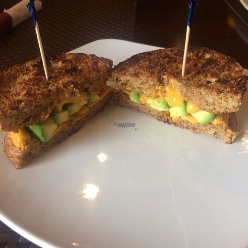 Inside out bagel with avocado, cheese and mayo at Violette's Vegan Organic Cafe and Juice Bar in Las Vegas