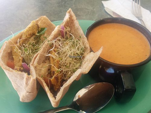 Falafel sandwich with a side of tomato basil soup at Field of Greens in Houston