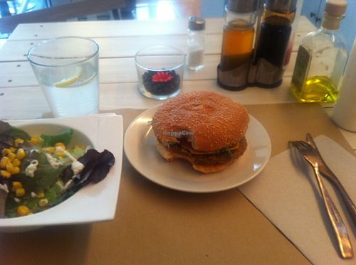 Quinoa burger with a side salad - could also be served with fries. at Punto Vegano in Madrid