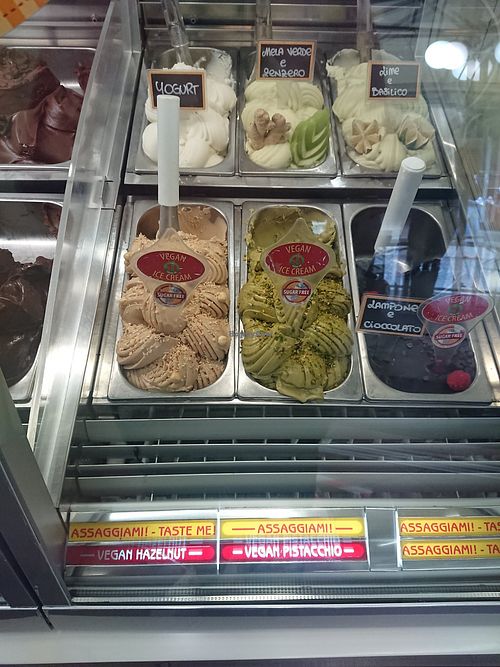 Vegan choices when I visited at Vanilla Gelati Italiani in Milan