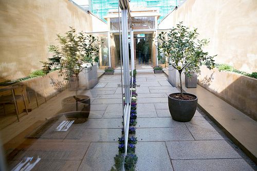 Aromatic garden at Pe d'Arroz in Matosinhos