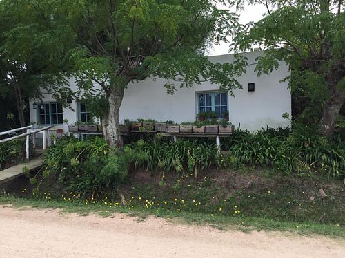 home grown herbs  at Lucifer in Garzon