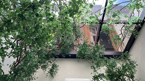   at Naturalie Bistro in Rio De Janeiro