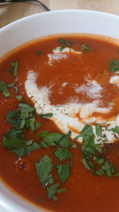 Polish tomato soup with Polish gnocchi-'kluseczki' and sour cream on top. Delicious. at Lokal Vegan Bistro in Warsaw