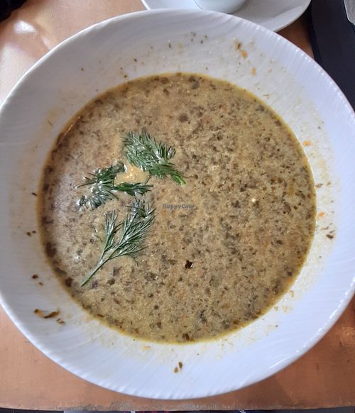 Sorrel soup at Lokal Vegan Bistro in Warsaw