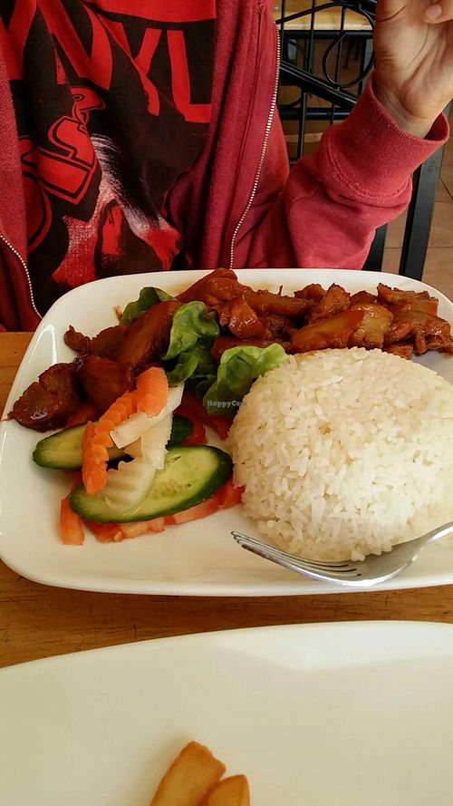 BBQ mock beef with rice  at Tan Duy Linh in Cabramatta