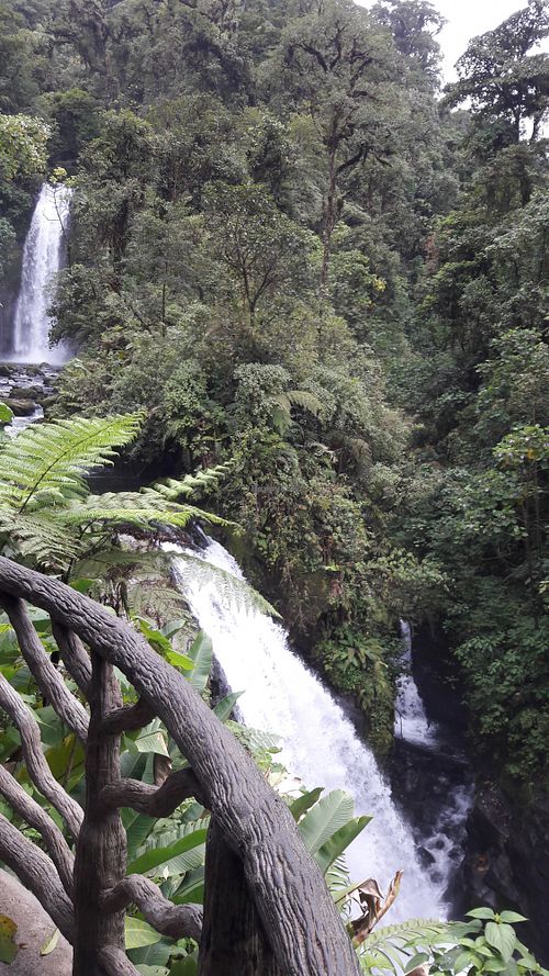 La Paz waterfalls gardens 20 minutes from us. at Puerta de Jade in Alajuela