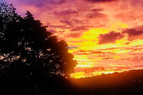 Sunset at hour place at Puerta de Jade in Alajuela