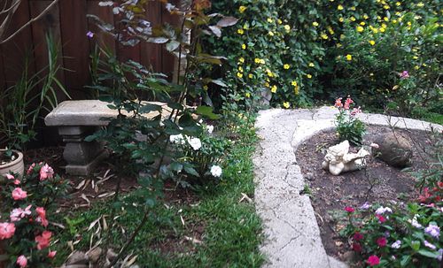 Little indoor garden at Puerta de Jade in Alajuela