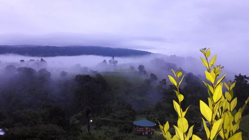 Mountains in the mist and meditation room at Puerta de Jade in Alajuela