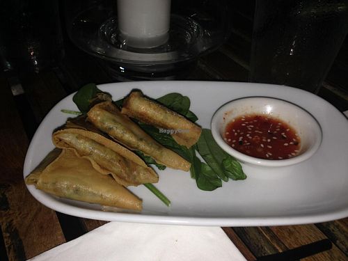 Wonton triangles. at Bodhi in Sydney