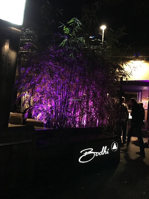 Entry at Bodhi in Sydney