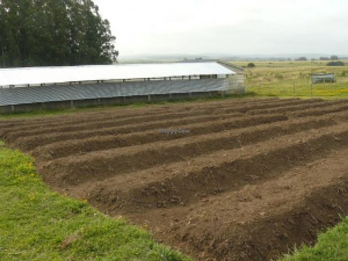 Garden at La Piccolina Organic Farm in Garzon