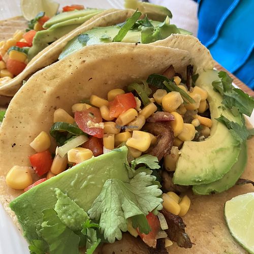 Taco's at the new owner 💜  at Bindicafe in Amersfoort