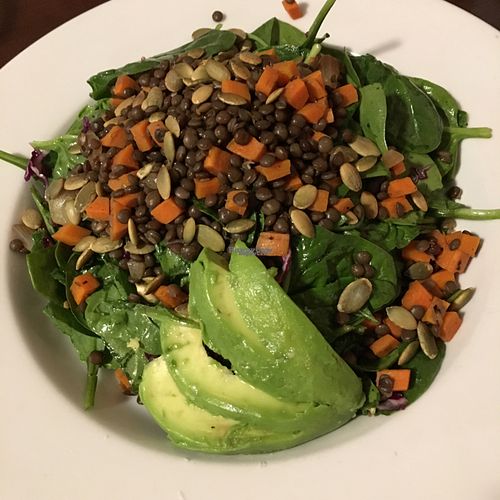 Lentil Salad at Veganized in New Brunswick