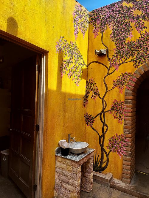 Nice courtyard at Jazmin in San Jose Del Cabo