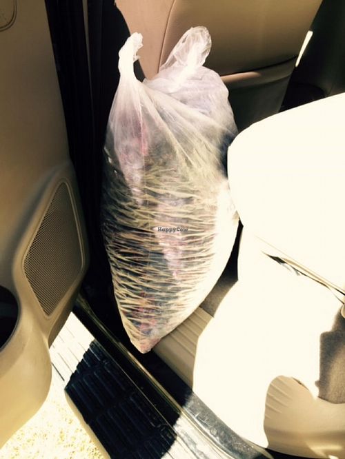 Bag of frozen organic blueberries at Arandanos in Punta Del Este