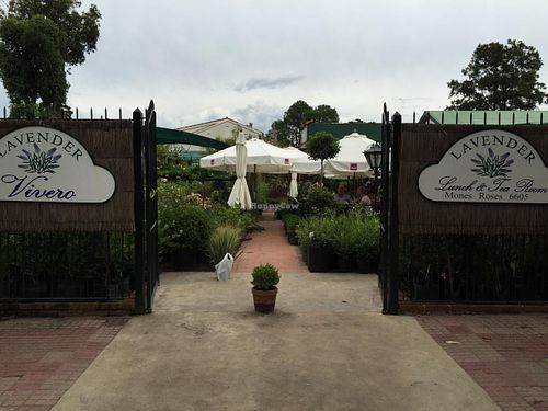 Sign at Lavender Tea Room in Montevideo