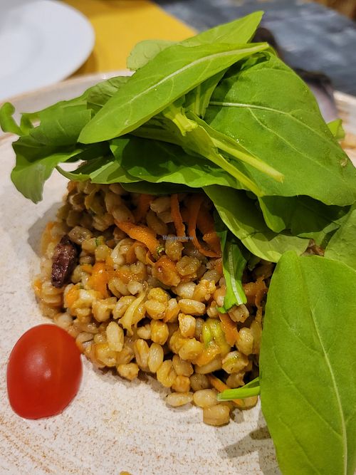 Spelt barley salad at Pizza Pala Romana in Bangkok