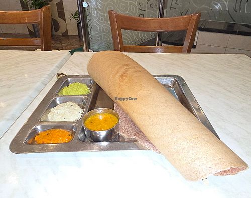 Ragi dosa no oil, no butter at Saarangaa Bhojan Shala in Sharjah