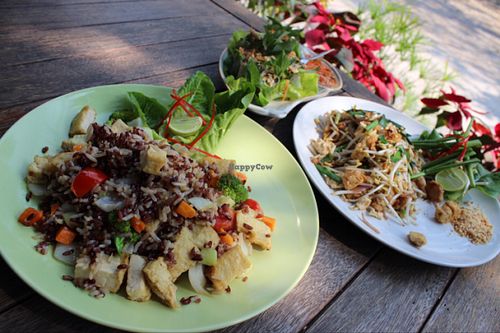 rice with veggies and tofu, pad Thai, and fresh veggie rolls  at Veggie Homemade Aurra Ammie in Pak Chong