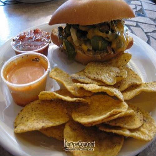 Philly Cheese steak  at Yin Yang Fandango and Tango Tea Room in Corpus Christi