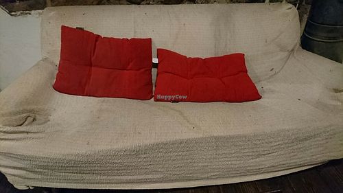 The dirty couch at Burger Mel - Benavides in Tenerife